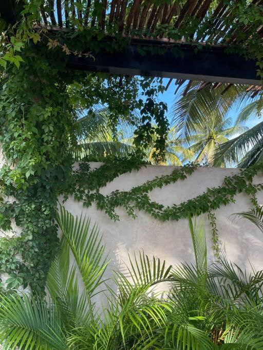 Casa Tulup Sisalヴィラ エクステリア 写真
